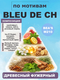 beas210-50-2